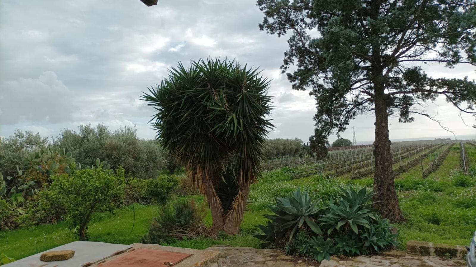 Casa Bouganville Villetta Tra Le Vigne E Il Mare Menfi Dış mekan fotoğraf